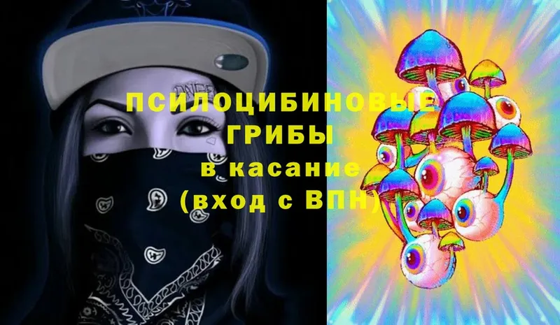 наркотики  Кедровый  Галлюциногенные грибы Magic Shrooms 